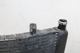 1996 Honda Cbr600f3 Engine Radiator Motor Cooler Cooling Radiater