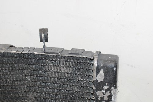 1996 Honda Cbr600f3 Engine Radiator Motor Cooler Cooling Radiater