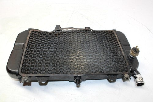 1999 Kawasaki Ninja Zx6r Zx600g Engine Radiator Motor Cooler Cooling Radiater