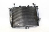 03-05 Yamaha Yzf R6 Engine Radiator Motor Cooler Cooling Radiater OEM