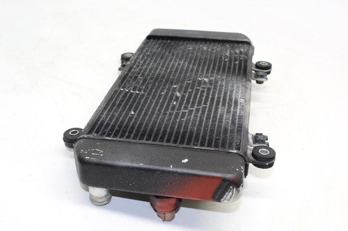 08-12 Kawasaki Ninja 250r Ex250j Engine Radiator Motor Cooler Cooling Radiater