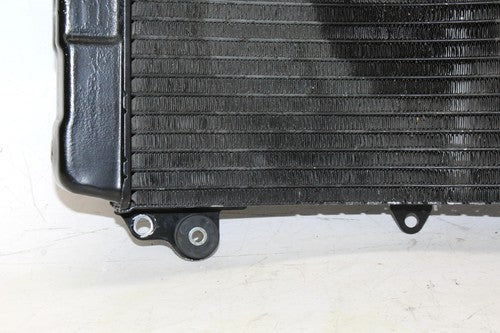 1994 Suzuki Rf900r Engine Radiator Motor Cooler Cooling Radiater
