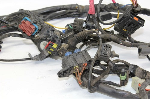 05-06 Ducati Multistrada 620 Main Engine Wiring Harness Motor Wire Loom OEM