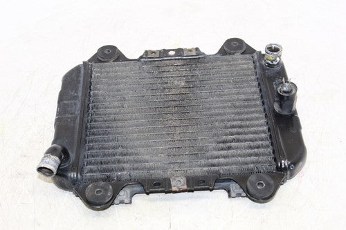 1989 Kawasaki Ninja 250r Ex250f Engine Radiator Motor Cooler Cooling Radiater