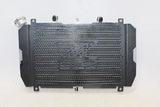2019 Kawasaki Z900 Engine Radiator Motor Cooler Cooling Radiater