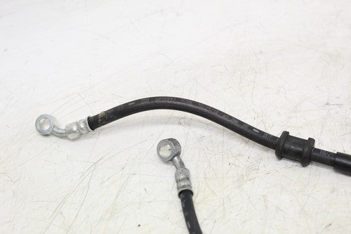 2019 Suzuki Gsxr750 Rear Back Front Brake Hose Fluid Line Set