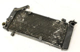 1995 Honda Cbr600f3 Engine Radiator Motor Cooler Cooling Radiater