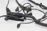 2008-18 Bmw F800gs Speedo Gauges Wiring Harness Wire Loom OEM