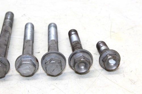 2009 Triumph Tiger Bolt Set