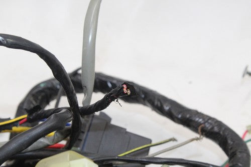 86-06 Kawasaki Concours Zg1000a Main Engine Wiring Harness Motor Wire Loom OEM