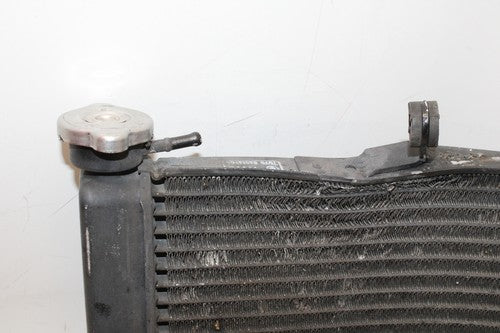 2004 Honda Cbr600rr Engine Radiator Motor Cooler Cooling Radiater