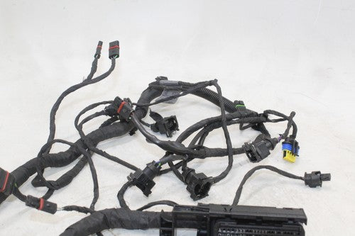 2008-18 Bmw F800gs Speedo Gauges Wiring Harness Wire Loom OEM
