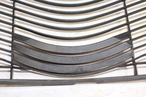 (06-10) 2007 YAMAHA FZ1 OIL COOLER GRILL GUARD OEM