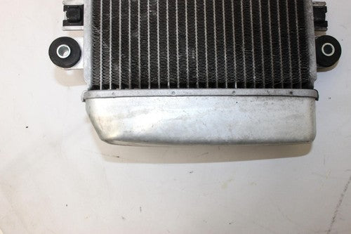 2009 Kawasaki Ninja 250r Ex250j Engine Radiator Motor Cooler Cooling Radiater