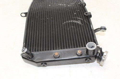 11-13 Yamaha Fz8 Engine Radiator Motor Cooler Cooling Radiater OEM