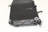 11-13 Yamaha Fz8 Engine Radiator Motor Cooler Cooling Radiater OEM