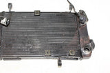 2002 Suzuki Sv650 Engine Radiator Motor Cooler Cooling Radiater