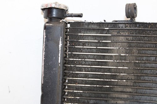 2005 Honda Cbr600f4i Engine Radiator Motor Cooler Cooling Radiater