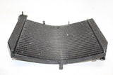 1999-2000 Honda Cbr600f4 Engine Radiator Motor Cooler Cooling Radiater OEM