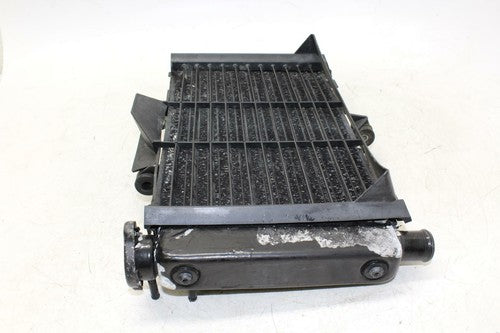 04-09 Yamaha Fz6 Engine Radiator Motor Cooler Cooling Radiater OEM