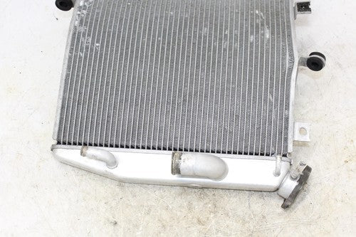 2005 Kawasaki Ninja Zx10r Zx1000c Engine Radiator Motor Cooler Cooling Radiater