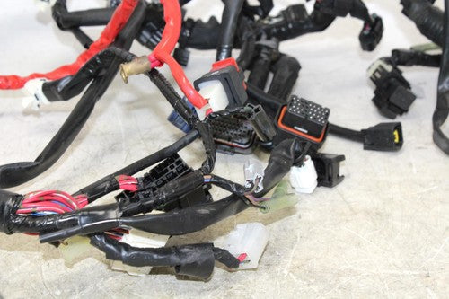 2015 Yamaha Fz09 Main Engine Wiring Harness Motor Wire Loom