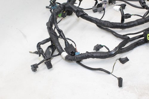 2013-17 Kawasaki Ninja 300 Ex300a Main Engine Wiring Harness Motor Wire Loom OEM