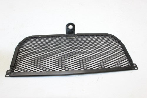 2015-2018 Bmw S1000r Oil Cooler Grill Guard OEM