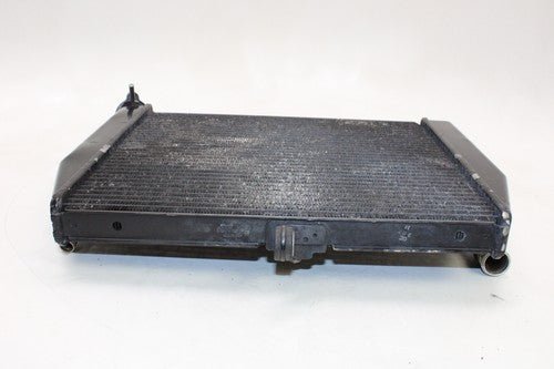 2002-03 Yamaha Yzf R1 Engine Radiator Motor Cooler Cooling OEM