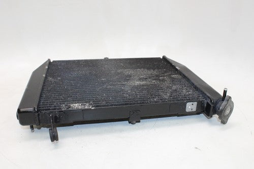 2002-03 Yamaha Yzf R1 Engine Radiator Motor Cooler Cooling OEM