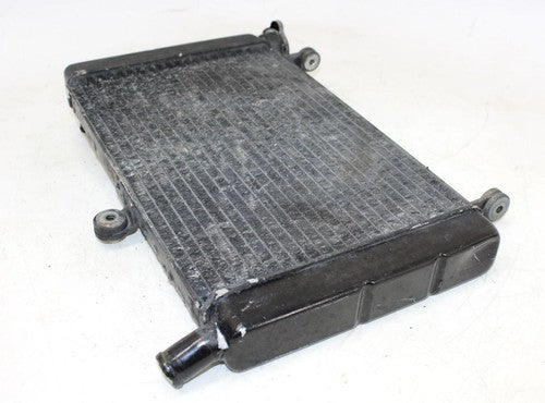 1995 Yamaha Yzf600r Engine Radiator Motor Cooler Cooling Radiater