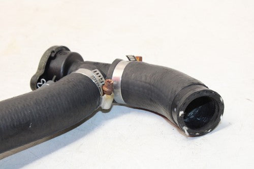 1995 Honda Cbr600f3 Hose With Radiator Cap Set