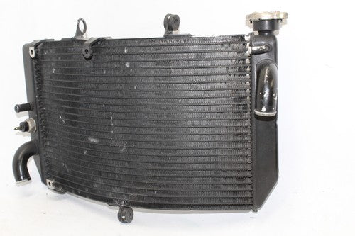 1999-2000 Honda Cbr600f4 Engine Radiator Motor Cooler Cooling Radiater OEM