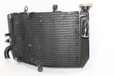 1999-2000 Honda Cbr600f4 Engine Radiator Motor Cooler Cooling Radiater OEM