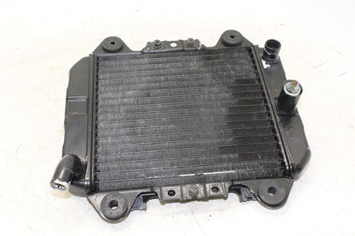 2006 Kawasaki Ninja 250r Ex250f Engine Radiator Motor Cooler Cooling Radiater