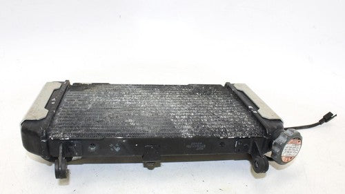 2002 Suzuki Sv650 Engine Radiator Motor Cooler Cooling Radiater