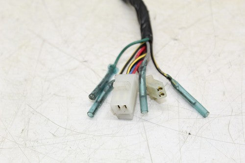 2000 Kawasaki Concours 1000 Zg1000a Main Engine Wiring Harness Motor Wire Loom