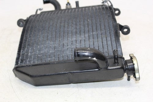 2000 Honda Cbr600f4 Engine Radiator Motor Cooler Cooling Radiater