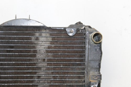 1986 Honda V65 Magna Vf1100c Engine Radiator Motor Cooler Cooling Radiater OEM