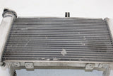 2015-2018 Yamaha Yzf R3 Engine Radiator MOTOR Cooler Cooling Radiater OEM