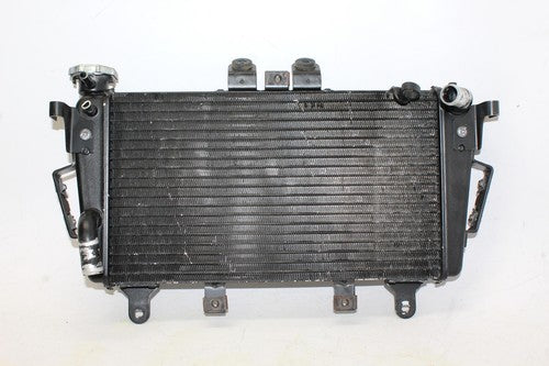 2009 Triumph Tiger Engine Radiator Motor Cooler Cooling Radiater