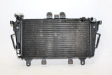 2009 Triumph Tiger Engine Radiator Motor Cooler Cooling Radiater