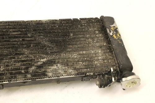 1995 Honda Cbr600f3 Engine Radiator Motor Cooler Cooling Radiater