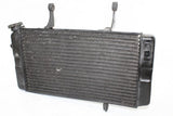 2005 Suzuki Vstrom 1000 Dl1000 Engine Radiator Motor Cooler Cooling Radiater OEM