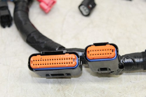 2020 Kawasaki Z650 Er650 Main Engine Wiring Harness Motor Wire Loom