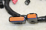 2020 Kawasaki Z650 Er650 Main Engine Wiring Harness Motor Wire Loom