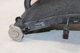 2004 Honda Cbr600rr Engine Radiator Motor Cooler Cooling Radiater