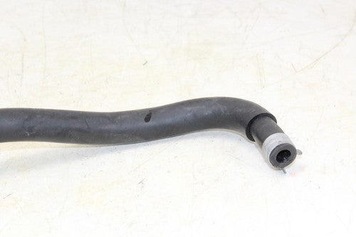 2001 Triumph Tt600 Rear Brake Master Fluid Reservoir Tank Bottle