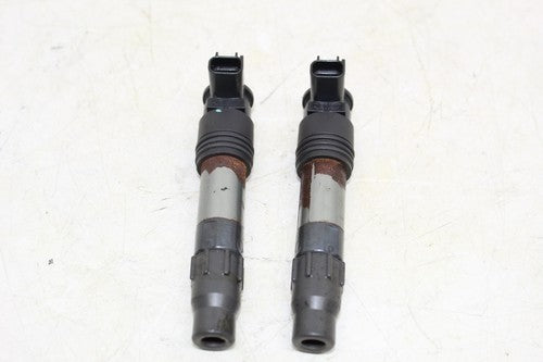 2015 Kawasaki Ninja 300 Ex300b Abs Ignition Coils Coil Spark Plug Caps