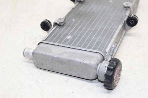2015 Honda Cb300f Engine Radiator Motor Cooler Cooling Radiater